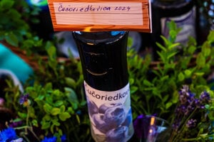 Čučoriedkovica Margity Pindjakovej.