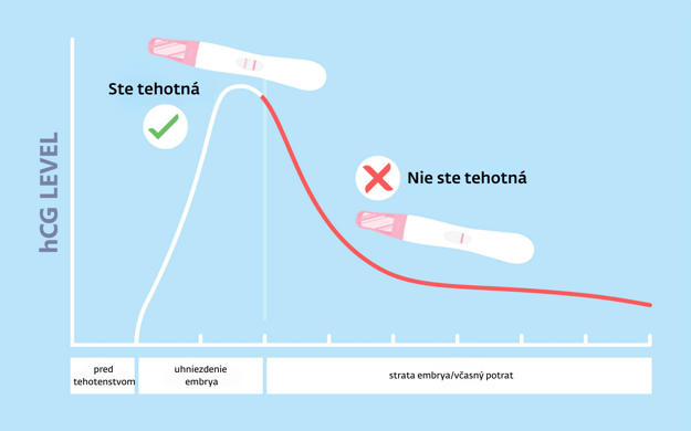 Tehotenský test ukáže pozitívny výsledok, ak v moči alebo v krvi zachytí tehotenský hormón hCG.  (zdroj: Adobe Stock/ SME)