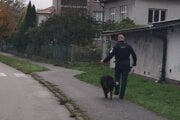 Polícii sa psa podarilo odchytiť. 