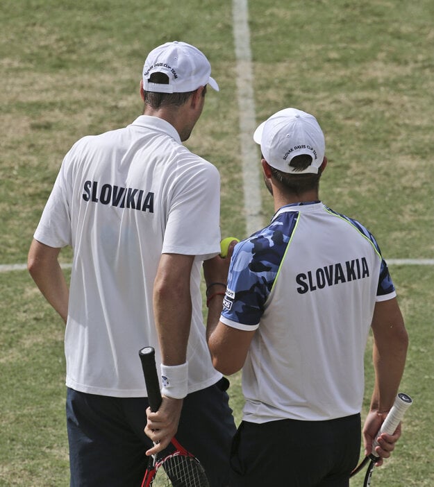 Slovenskí tenisti sa aj tento rok márne pokúšali o postup do Svetovej skupiny.