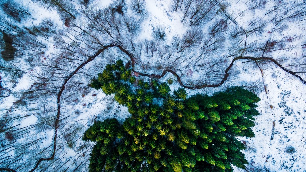 Kategória PRÍRODA, 1. miesto: Dronestagram/Michael Bernholdt