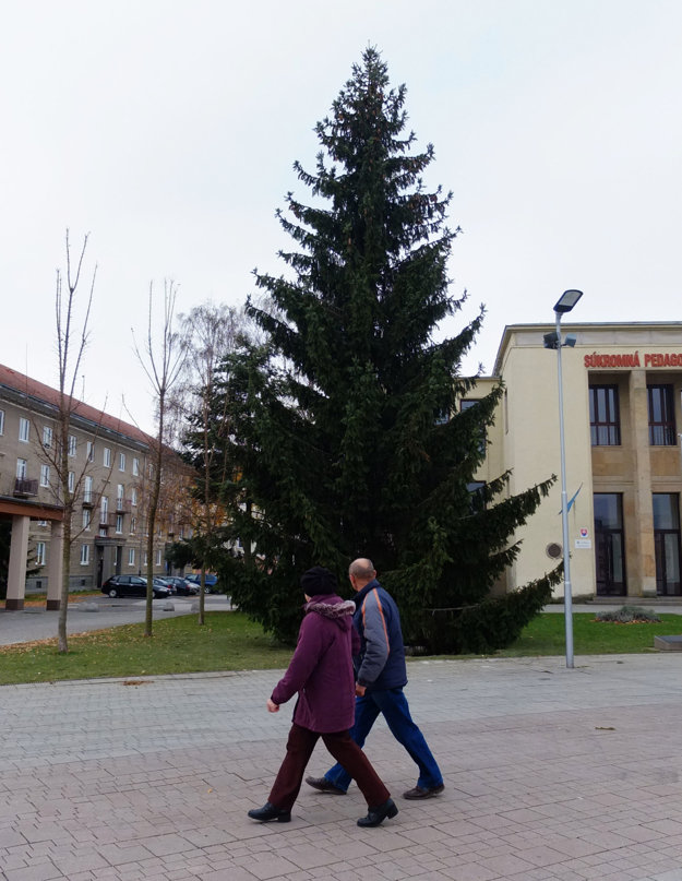 Strom na Námestí Matice slovenskej čaká na novú výzdobu.
