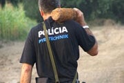Muníciu zneškodnil policajný pyrotechnik. (Ilustračná snímka). 
