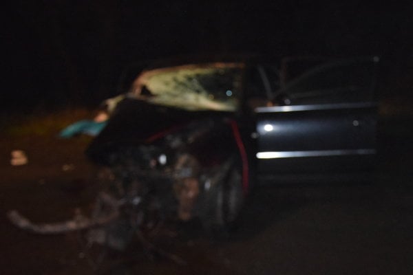 Auto skončilo v strome.