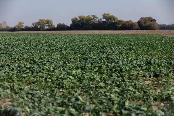 Delegácia preverí, čo sa na východnom Slovensku robí s agrodotáciami
