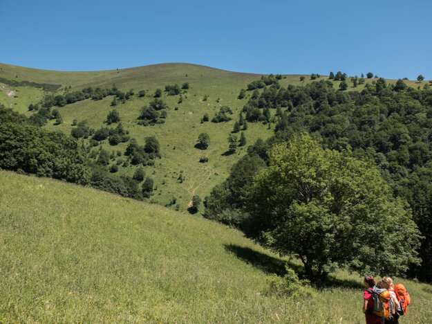 Veľkofatranské hole