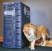 foto - sun microsystems