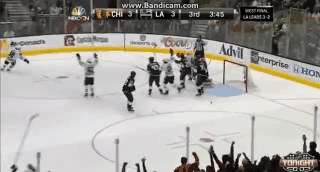 kane2.gif kane2.gif
