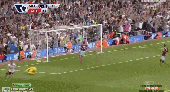 dier.gif dier.gif