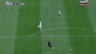 animation.gif
