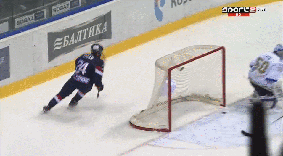 stastny.gif