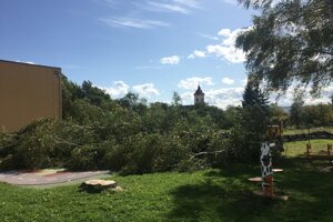 Spadnutý strom v areáli detvianskej materskej školy.