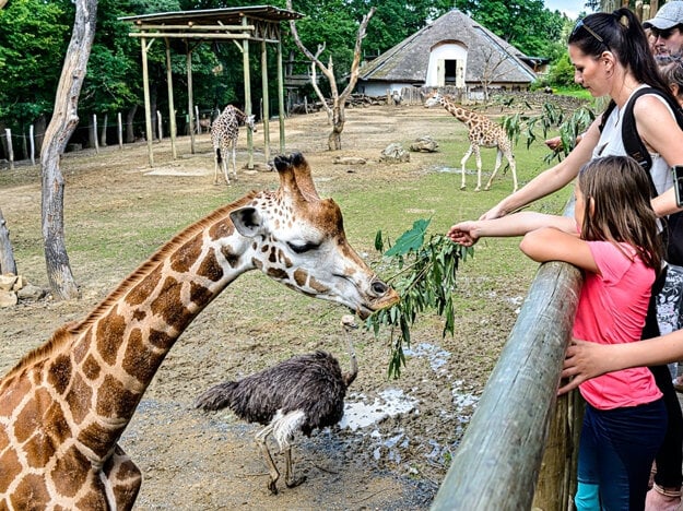 ZOO Zlín (zdroj: ZOO Zlín)