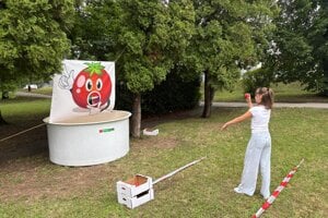 Novácka paradajka 2025.