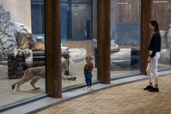 Charkovská zoo odolala útokom, dnes do nej opäť chodia návštevníci.