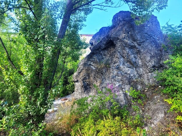 (zdroj: mh)