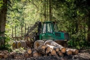 Ťažba dreva v Národnom parku Muránska planina.