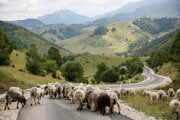 Pohorie Bjelašnica v blízkosti Sarajeva. 