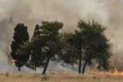 Horiaci terén v blízkosti Podgorice.
