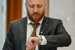 SAV dostala lekciu z politiky (píše Fedor Blaščák)