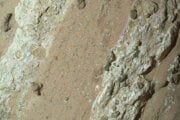 Tím NASA si horninu všimol pre škvrny, ktoré pripomínali vzor leopardovej kože.