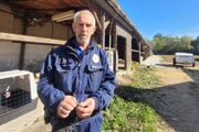 Hlavný psovod mestskej polície v areáli bývalých kasární, kde majú psy nový domov.  