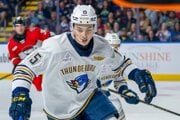 Dalibor Dvorský v drese tímu Springfield Thunderbirds. 