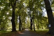 Mestský park v Banskej Bystrici.