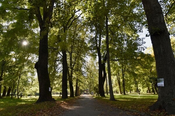 Mestský park v Banskej Bystrici.