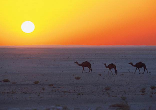 Sharm El Sheikh na Sinajskom polostrove ponúka more aj púšť.