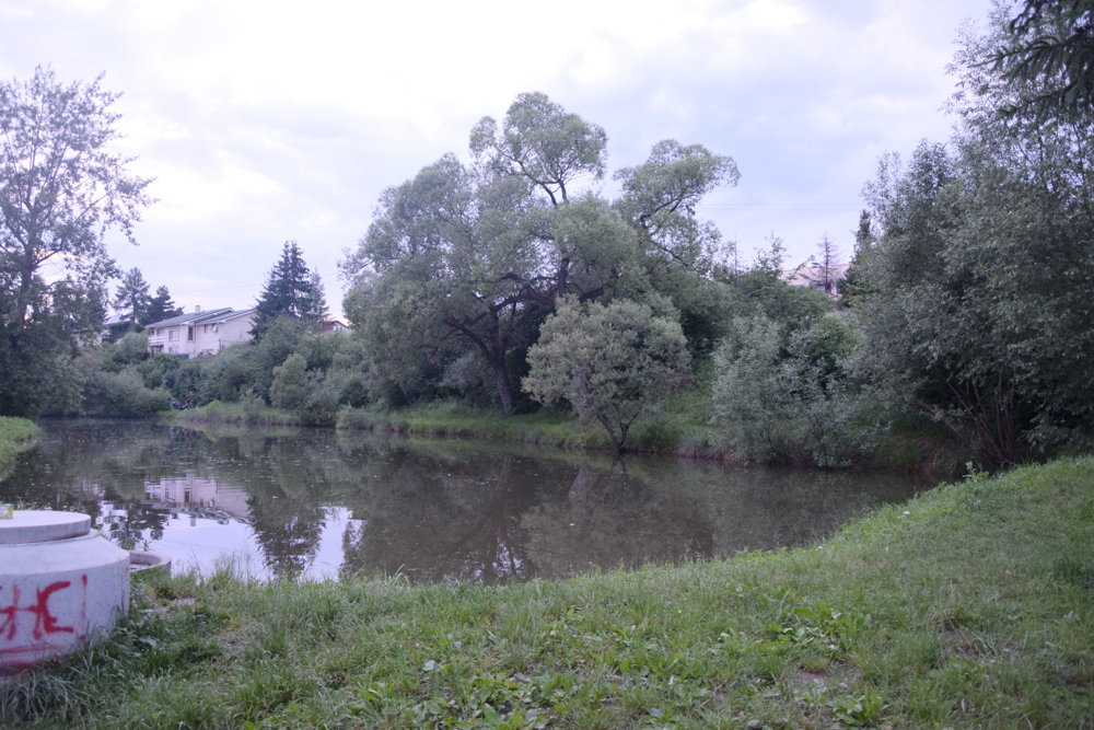 Zoznamka služby rybník