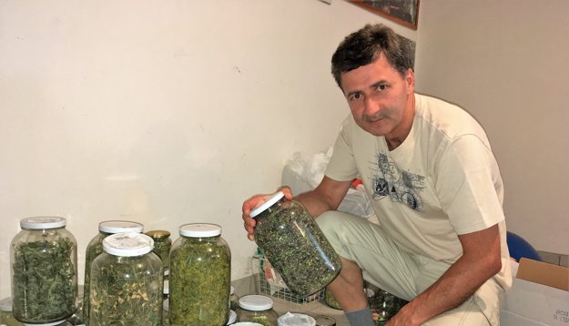 Pomáhali aj bylinky nazbierané v horách.