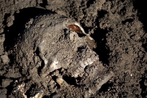 V Česku našli stredoveký hrob s kostrou ženy, ktorá mala tmavú pleť