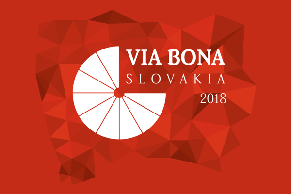 Študenti hekli životy slabozrakých. Vytvorili aplikáciu, ktorá im pomáha vidieť