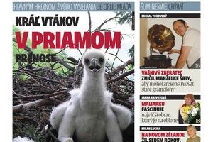 article thumbnail