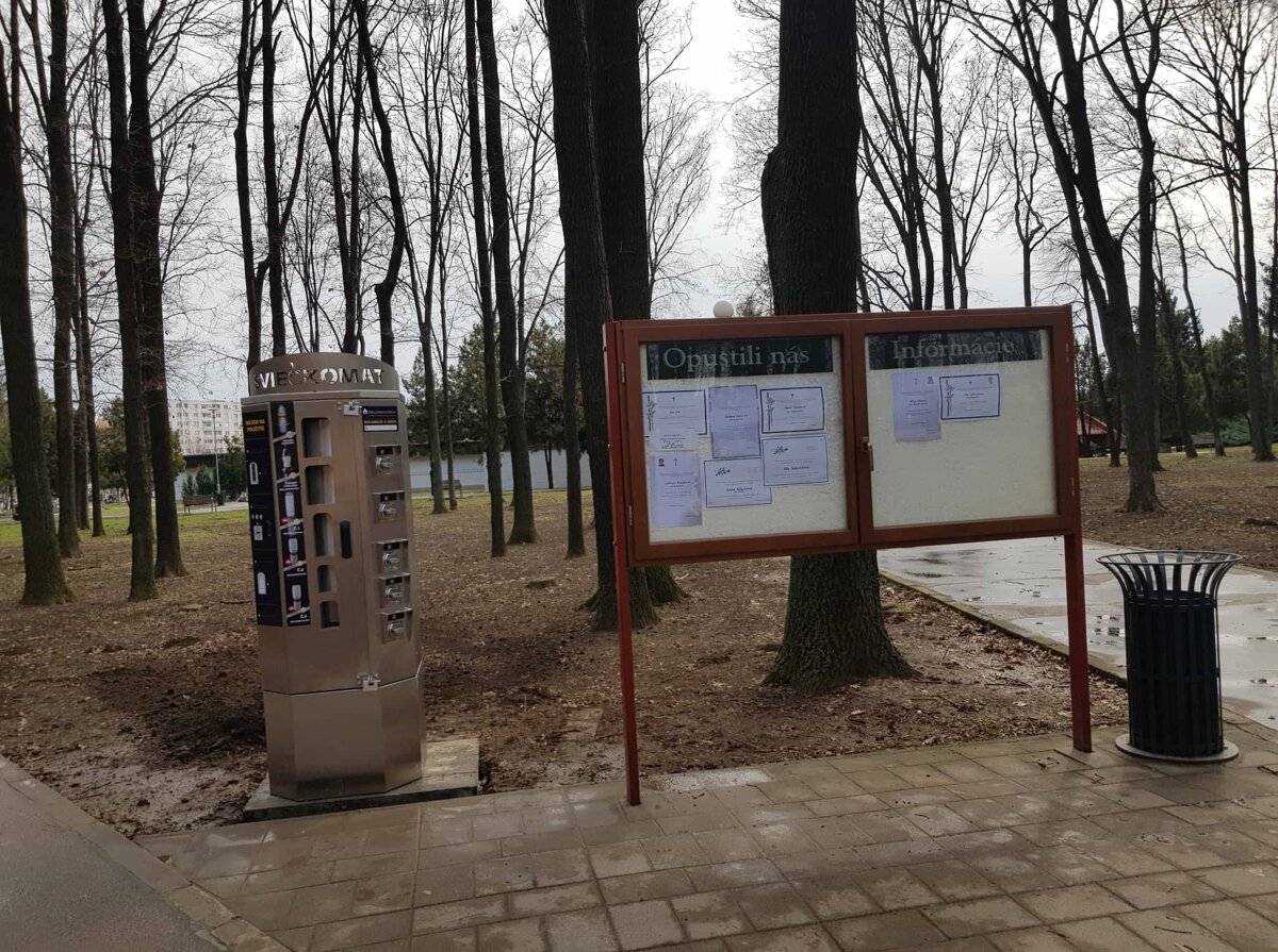 Dospievajúci obrovské vtáky