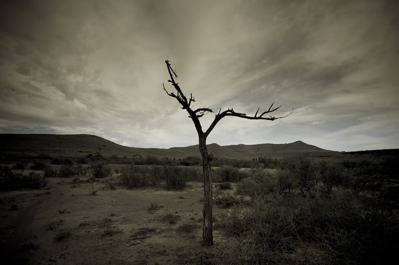 in-africa-ii.jpg