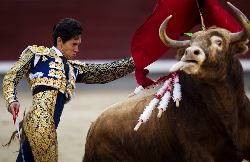 Corrida de toros игровой автомат Corrida de toros игровой автомат columbus casino online