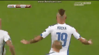animation.gif animation.gif