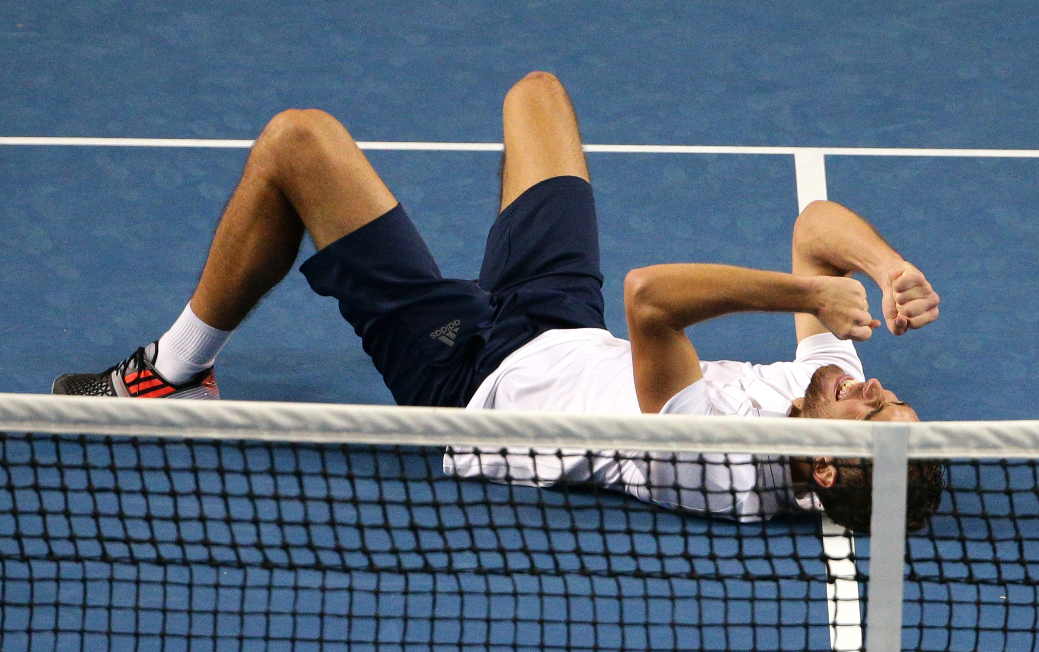 janowicz.jpg