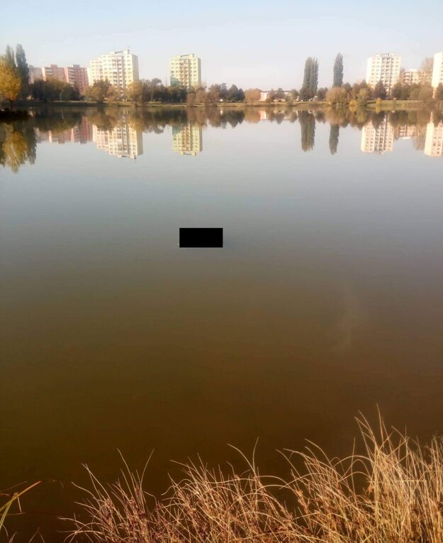 Telo plávalo na hladine (je prekryté čiernym obdĺžnikom).