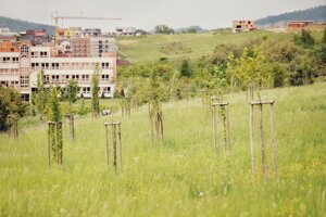 Park Sekćov.