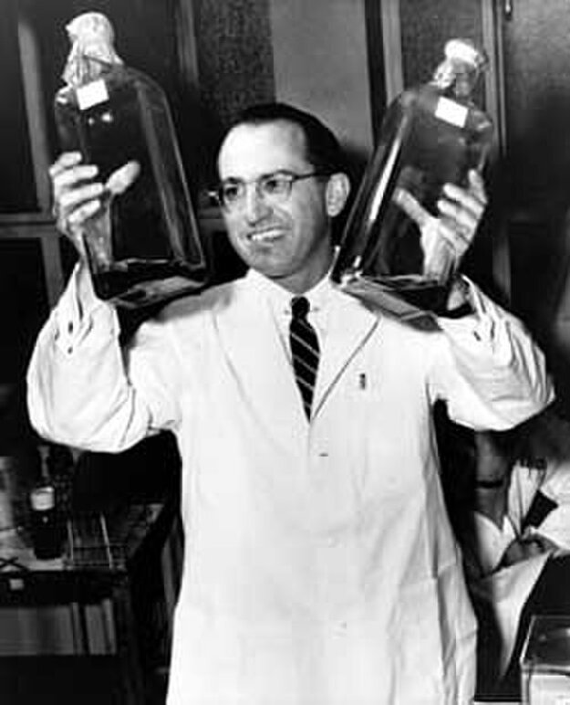Jonas Salk na Pittsburskej univerzite , kde vyvinul prvú vakcínu proti detskej obrne. (zdroj: Wikimedia Commons)