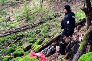 Štvornohý člen policajného zboru vypátral nezvestného.
