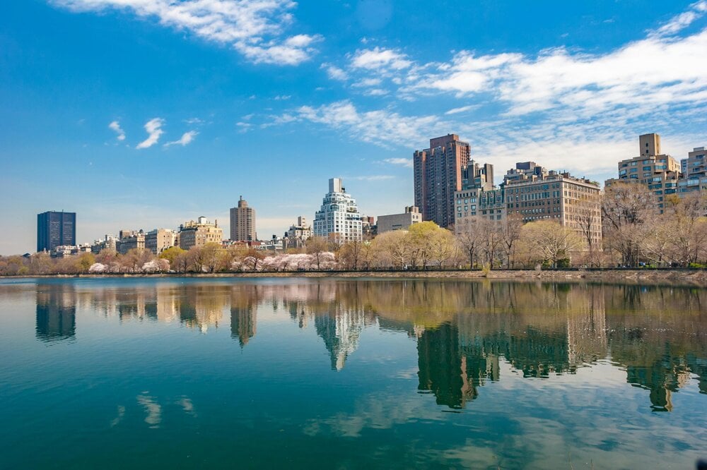 Newyorský Central Park (zdroj: pexels.com)