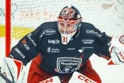 Stanislav Škorvánek v bránke Mountfield HK Hradec Králové.