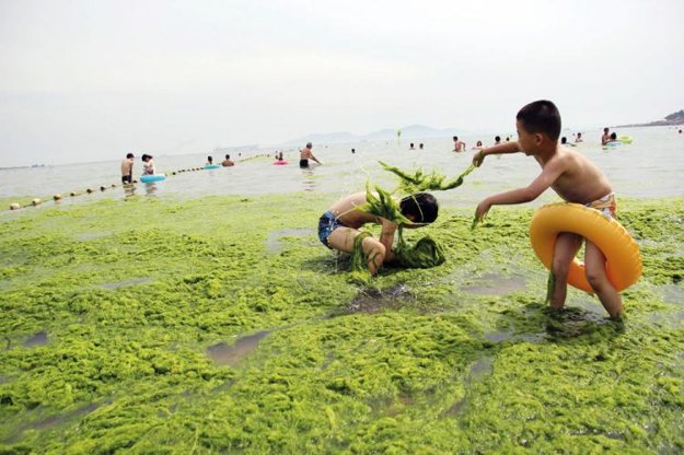 article_photo