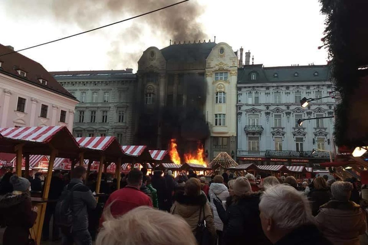 tučné čierne dievča mačička obrázky