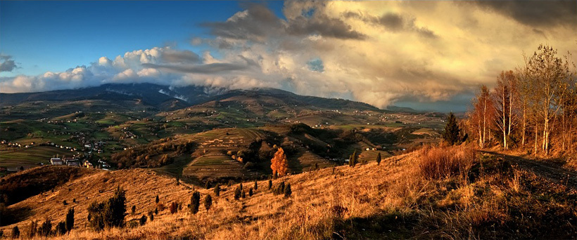 polana