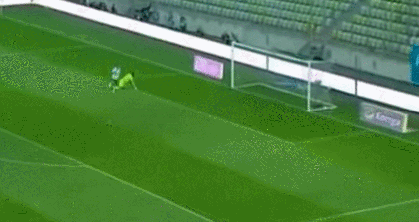 zajac.gif zajac.gif